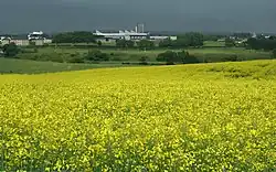 The Coleraine Campus in 2007