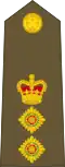 Colonel