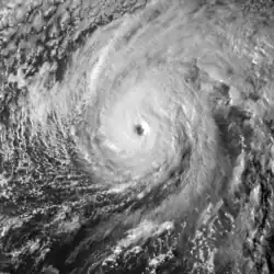 A visible satellite image of Hurricane Nicole nearing Category 4 intensity on October 12