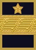 Flight suit sleeve insignia for a brigadier general[j] (2000–present)