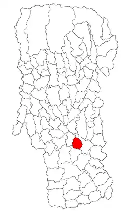 Oarja within Argeș County