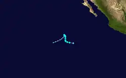 An image of the track of a short-lived and erratic tropical storm.
