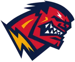 Team logo