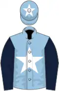 Light blue, white star, dark blue sleeves, light blue cap, white star