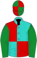 Turquoise and red (quartered), green sleeves, green and red quartered cap