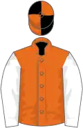 Orange, white sleeves, black and orange quartered cap