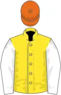 Yellow, white sleeves, orange cap