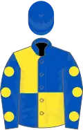 Royal blue and yellow (quartered), royal blue sleeves, yellow spots, royal blue cap