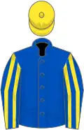 Royal blue, yellow striped sleeves, yellow cap
