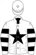 White, black star, hooped sleeves