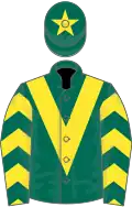 DARK GREEN, yellow chevron and chevrons on sleeves, dark green cap, yellow star