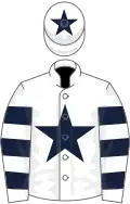 White, dark blue star, hooped sleeves and star on cap