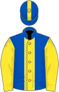 Royal blue, yellow stripe and sleeves, stripe on cap