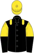 Black, yellow epaulets, yellow and black halved sleeves, yellow cap