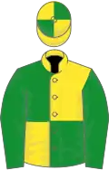 Yellow and green (quartered), green sleeves, quartered cap