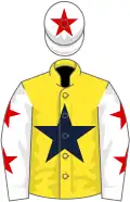 Yellow, dark blue star, white sleeves, red stars, white cap, red star