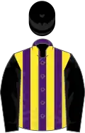 Purple and yellow stripes, black sleeves and cap