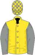 Yellow, grey sleeves, check cap