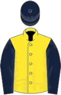 Yellow, dark blue sleeves and cap