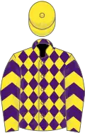 Yellow, purple diamonds, chevrons on sleeves, yellow cap