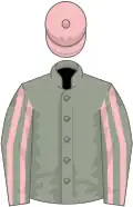 French grey, pink cap and striped sleeves
