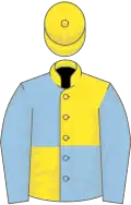 Yellow and light blue (quartered), blue sleeves, yellow cap