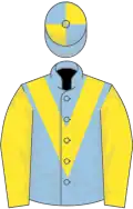 Light blue, yellow chevron and sleeves, quartered cap