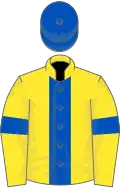 Yellow, royal blue stripe, armlets and cap