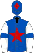 Royal blue, red star, white sleeves, royal blue armlets, royal blue cap, red diamond
