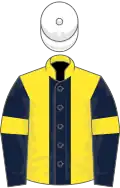 Yellow, dark blue stripe, dark blue sleeves, yellow armlets, white cap