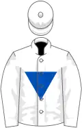 White, blue inverted triangle