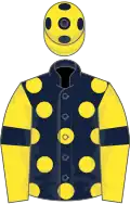 Dark blue, yellow spots, yellow sleeves, dark blue armlets, yellow cap, dark blue spots