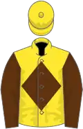 Yellow, brown diamond and sleeves