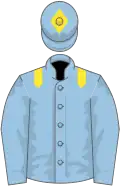 Light blue, yellow epaulettes, diamond on cap