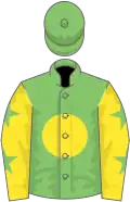 Light green, yellow disc, yellow sleeves, light green stars, light green cap