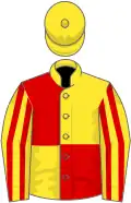 Yellow and red (quartered), striped sleeves, yellow cap