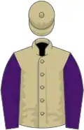 Beige, purple sleeves