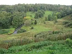 The Pühajõgi River in the park