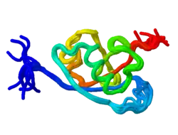 1RAX:Ras association (RalGDS/AF-6) domain.