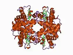 1a9w: HUMAN EMBRYONIC GOWER II CARBONMONOXY HEMOGLOBIN