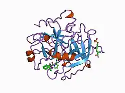 1aix: HUMAN ALPHA-THROMBIN TERNARY COMPLEX WITH EXOSITE INHIBITOR HIRUGEN AND ACTIVE SITE INHIBITOR PHCH2OCO-D-DPA-PRO-BOROVAL