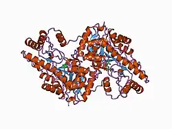 1ajs: REFINEMENT AND COMPARISON OF THE CRYSTAL STRUCTURES OF PIG CYTOSOLIC ASPARTATE AMINOTRANSFERASE AND ITS COMPLEX WITH 2-METHYLASPARTATE