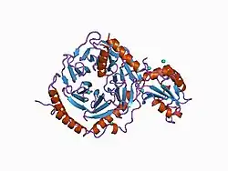 1b9y: STRUCTURAL ANALYSIS OF PHOSDUCIN AND ITS PHOSPHORYLATION-REGULATED INTERACTION WITH TRANSDUCIN BETA-GAMMA