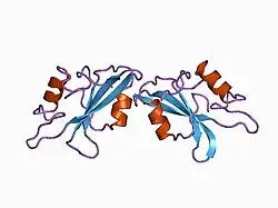1bhh: FREE P56LCK SH2 DOMAIN
