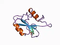 1bm2: GRB2-SH2 DOMAIN IN COMPLEX WITH CYCLO-[N-ALPHA-ACETYL-L-THI ALYSYL-O-PHOSPHOTYROSYL-VALYL-ASPARAGYL-VALYL-PROLYL] (PKF273-791)