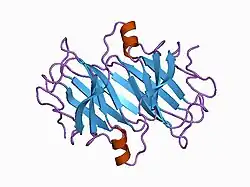 1bz8: TRANSTHYRETIN (DEL VAL122)