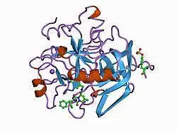 1c4v: SELECTIVE NON ELECTROPHILIC THROMBIN INHIBITORS WITH CYCLOHEXYL MOIETIES.