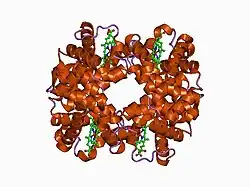 1c7d: DEOXY RHB1.2 (RECOMBINANT HEMOGLOBIN)