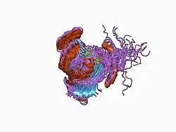 1cee: SOLUTION STRUCTURE OF CDC42 IN COMPLEX WITH THE GTPASE BINDING DOMAIN OF WASP