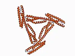 1cun: CRYSTAL STRUCTURE OF REPEATS 16 AND 17 OF CHICKEN BRAIN ALPHA SPECTRIN